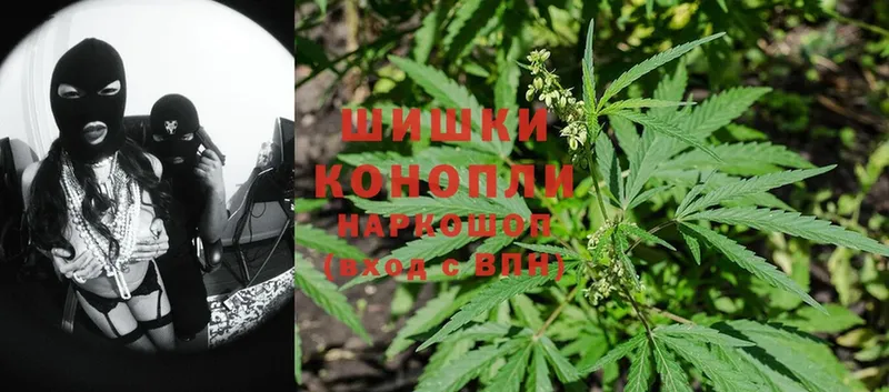 купить   mega как зайти  Конопля SATIVA & INDICA  Ветлуга 